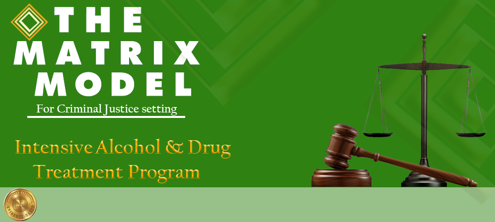 1MATRIX criminal justice cover